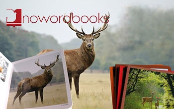 Nowordbooks