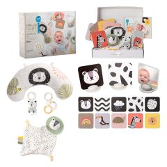 Caja regalo kit recién nacido 12 productos - Taf Toys