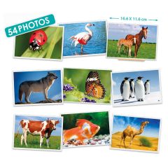 Fotografías de animales - Akros