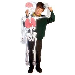 Hombre esqueleto Skeleton Man Light & Learn - HenBea