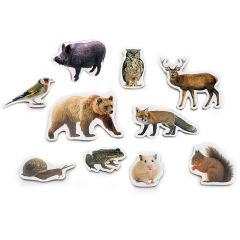 Imanes de madera Animales del bosque (10) - Nowordbooks