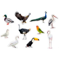 Imanes de madera Aves (10) - Nowordbooks