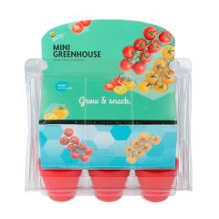Invernadero para cultivar tomates cherry (6) - Green Warriors
