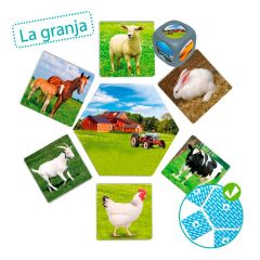 Juego de asociación: ¿Dónde viven los animales? - Akros