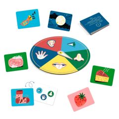 Juego de reconocimiento sensorial 5 sentidos Sensico - Djeco