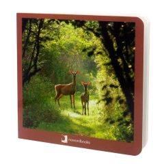 Libro de fotografías animales del bosque Volumen 1 - Nowordbooks