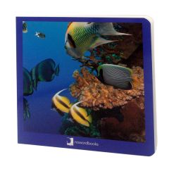 Libro de fotografías animales marinos Volumen 1 - Nowordbooks