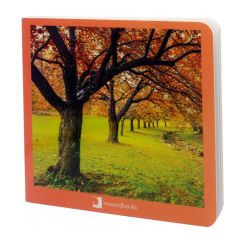 Libro de fotografías otoño - Nowordbooks