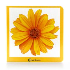 Libro de fotografías Amarillo - Nowordbooks