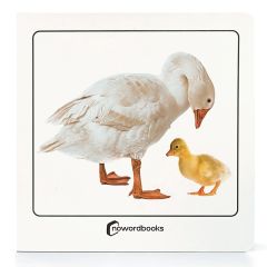 Libro de fotografías Animales domésticos y sus crías - Nowordbooks
