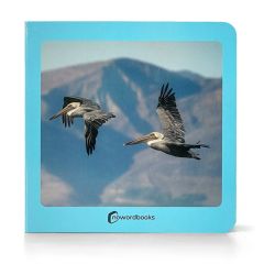 Libro de fotografías Aves - Nowordbooks
