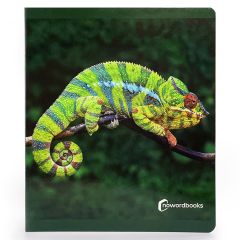 Libro grande de fotografías Animales de la Selva - Nowordbooks