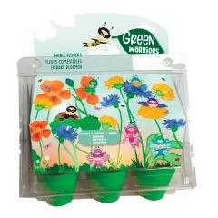 Maceteros y semillas de flores (6) - Green Warriors