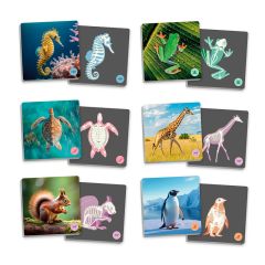 Maxi-Memory Animales vertebrados y sus esqueletos - Akros