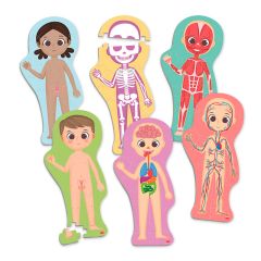 Set de 6 maxi puzles siluetas Descubre e identifica el cuerpo humano - Akros