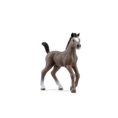 Potro Cheval de Selle Français - Schleich