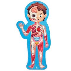 Puzle gigante cuerpo humano 50 piezas y 10 órganos de madera encajables - Hape