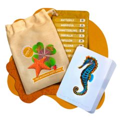 Tarjetas 8 idiomas Mis primeras palabras multilingües: naturaleza (32) - Emeteca Kids