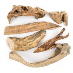 Trozos de madera natural pulida 500 g - Deukaliptus