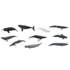 Tubo 10 piezas ballenas - Safari