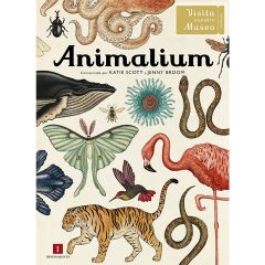 Animalium - Visita nuestro Museo - Impedimenta