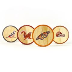 Círculos de madera magnéticos Animales del bosque (4) - Nowordbooks