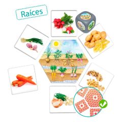 Juego de asociación: De dónde vienen los alimentos - Akros