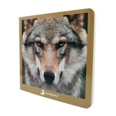 Libro de fotografías animales salvajes Volumen 2 - Nowordbooks