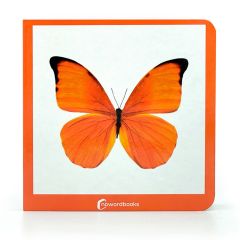 Libro de fotografías Naranja - Nowordbooks