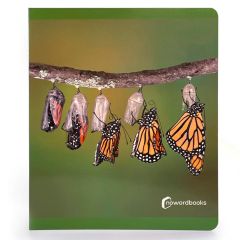 Libro grande de fotografías Los Ciclos de la Vida - Nowordbooks