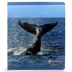 Libro grande de fotografías Animales del Mar - Nowordbooks