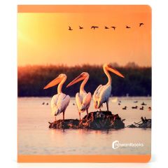 Libro grande de fotografías Aves - Nowordbooks