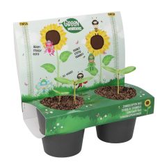 Maceteros y semillas de girasol (2) - Green Warriors