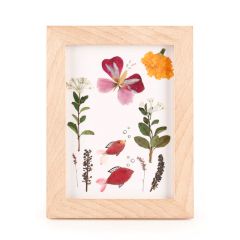 Marco de madera para flores prensadas - Huckleberry Kikkerland