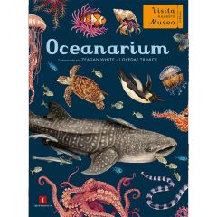 Oceanarium - Visita nuestro Museo - Impedimenta