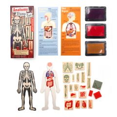 Plantilla cuerpo humano y sellos órganos y huesos - Kikkerland