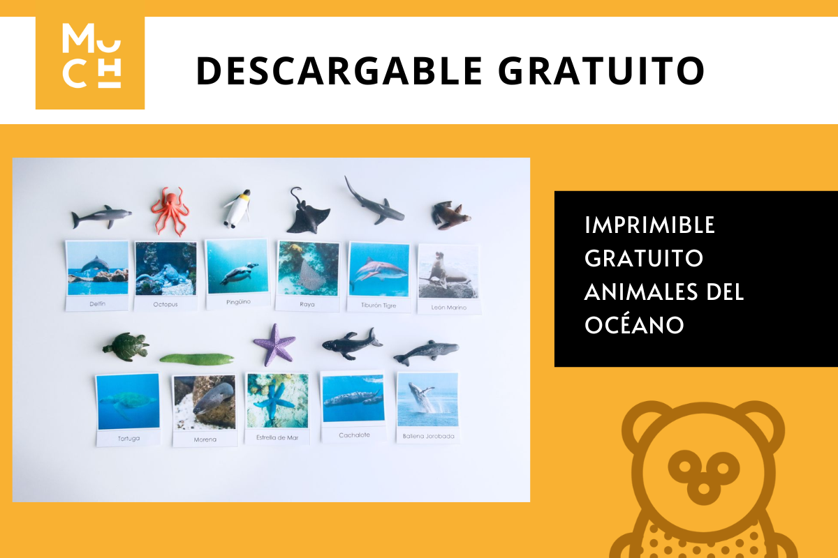 DESCARGABLE_GRATUITO_ANIMALES_DEL_OC_ANO