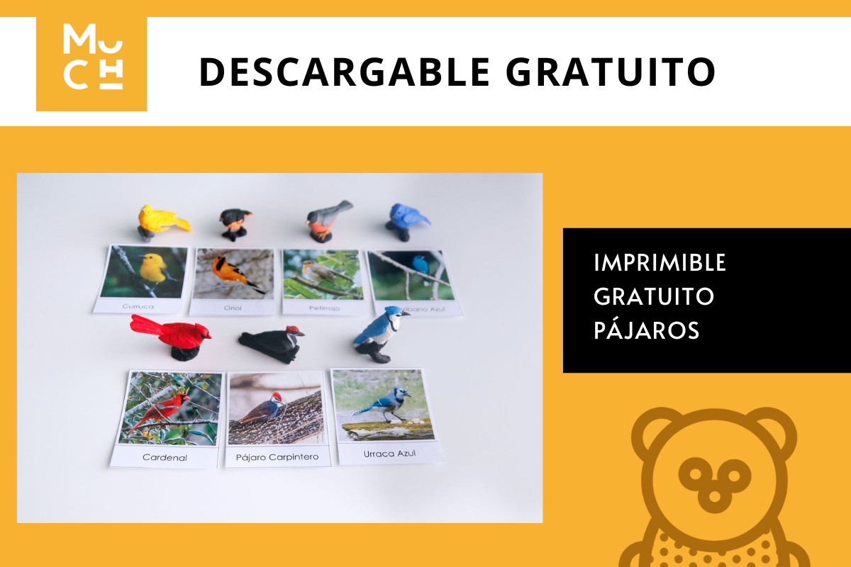 DESCARGABLE_GRATUITO_ANIMALES_DEL_OC_ANO_1_