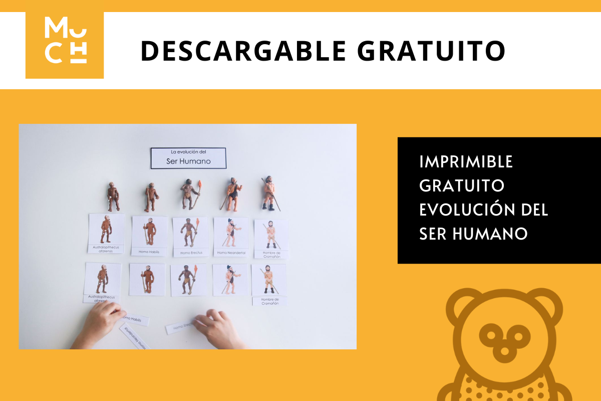 DESCARGABLE_GRATUITO_EVOLUCION_DEL_SER_HUMANO_