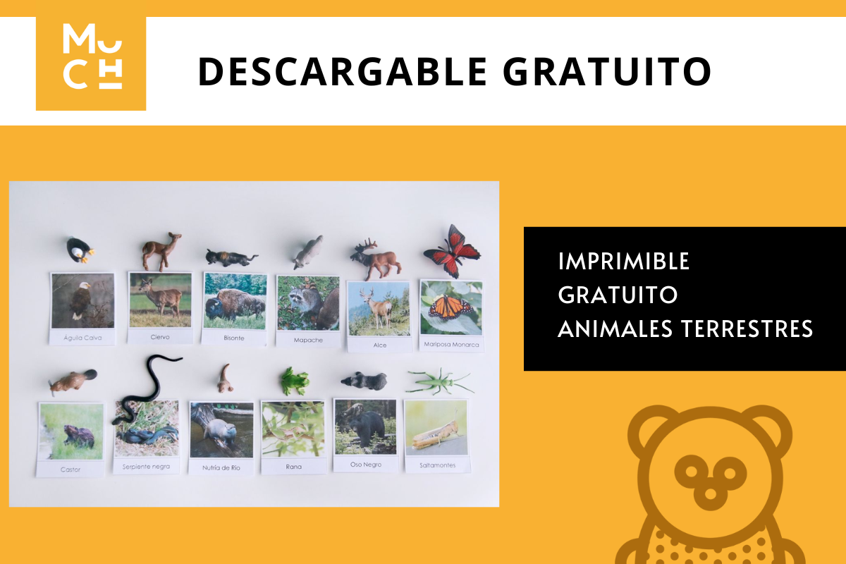 DESCARGABLE_GRATUITO_EVOLUCION_DEL_SER_HUMANO_1_