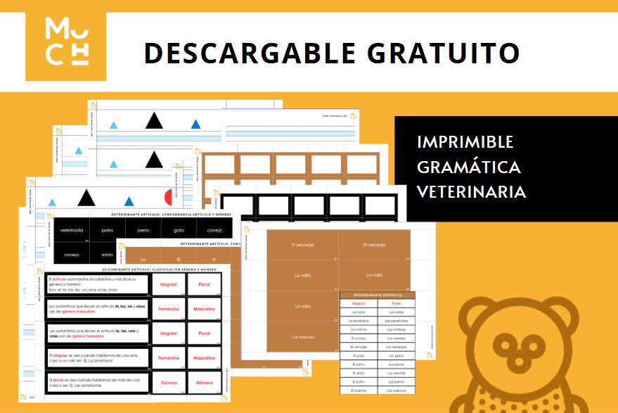 Imprimible-gramatica-veterinaria