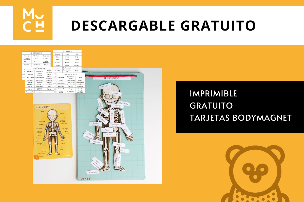_DESCARGABLE_TARJETAS_BODYMAGNET